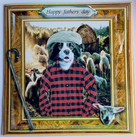 sheep dog by Sharon Wilson