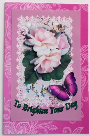 roses and butterflies brighten by Sharon Wilson