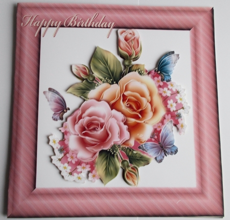  Succulant Bright Frames 8 by Sharon Wilson