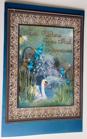 Rest & Follow Your Dreams by Sharon Wilson