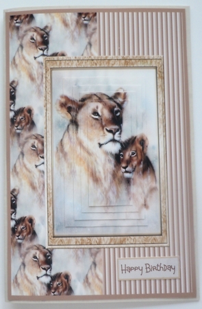 Lion and cub A5 card by Sharon Wilson