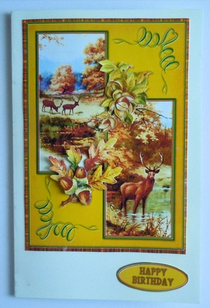 Beautiful Autumn by Sharon Wilson