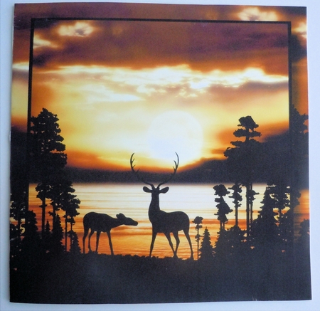 Stag Silhouette (Male) - Sunset 8x8 by Sharon Wilson
