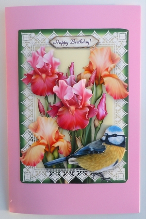 Iris, Lace & Bluetit - 5 x 7 Card Kit With Decoupage, Insert, Envelope & Masses Of Tags by Sharon Wilson