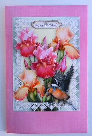 Iris, Lace & Finch - 5 x 7 Card Kit With Decoupage, Insert, Envelope & Masses Of Tags by Sharon Wilson