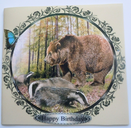 badgers and a bear by Sharon Wilson
