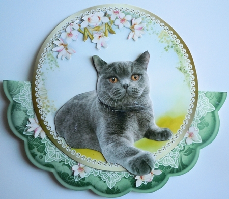 Spring Cat Plates by Sharon Wilson