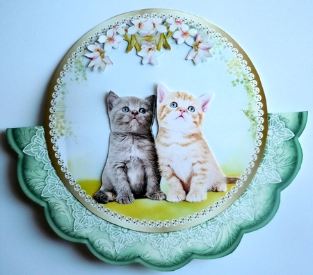Spring Cat Plates by Sharon Wilson