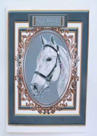 Birthday Horse by Sharon Wilson