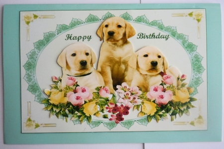 Dogs 2 by Sharon Wilson
