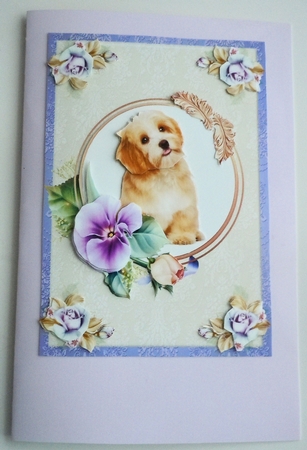 Cute Puppy by Sharon Wilson