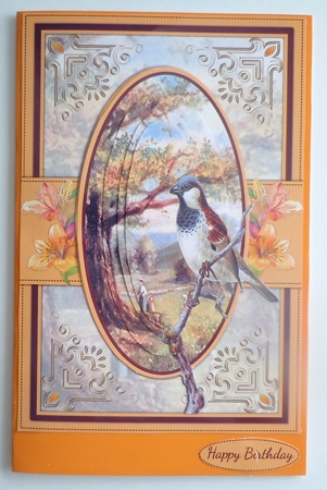 Summer Sparrow A5 Card Front Minikit by Sharon Wilson