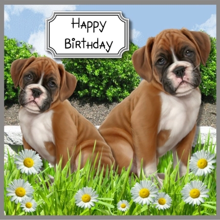 Cute dogs card topper by Sharon Wilson