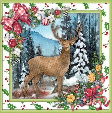 The Christmas Stag  by Sharon Wilson