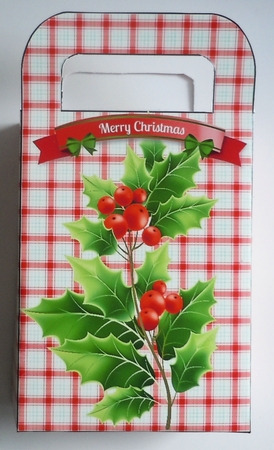 Lovely Holly in red check small gift bag by Sharon Wilson