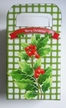Lovely Holly in green check small gift bag by Sharon Wilson