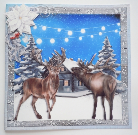 A WINTERS NIGHT - NOISY NEIGHBOURS by Sharon Wilson