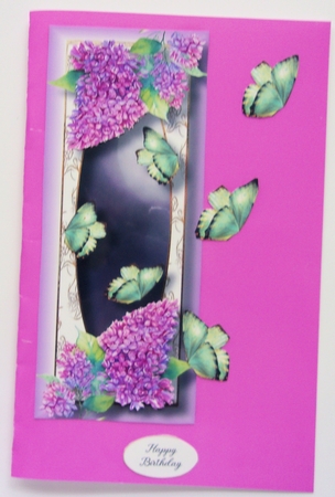 Blooms & Butterflies Large DL QUICK TOPPER Bumper Kit by Sharon Wilson