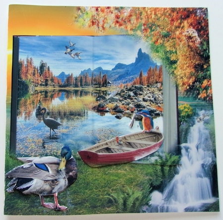 bird book by Sharon Wilson