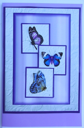 blue butterflies by Sharon Wilson