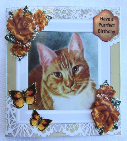 Ginger cat by Sharon Wilson
