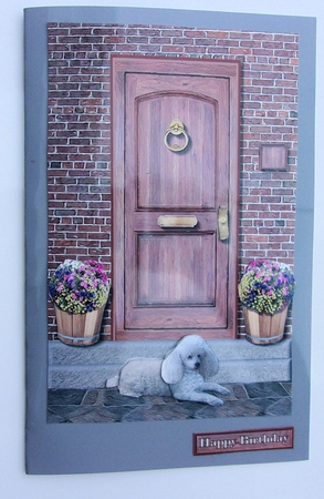 Miniature Poodle ,white,door Step Scene by Sharon Wilson