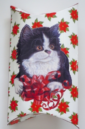 Kitty Kat Pillow Box by Sharon Wilson