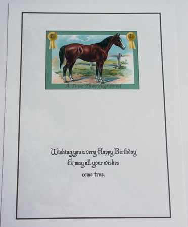 A True Thoroughbred Card Making Insert by Sharon Wilson