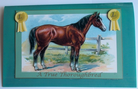 A True Thoroughbred Card Making Insert by Sharon Wilson