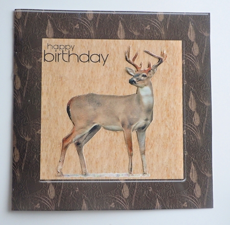 Cu Frames,ribbons and Bows Set by Sharon Wilson