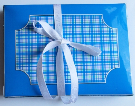 3D Tartan Dvd or Console Game Gift Box Mini Kit by Sharon Wilson