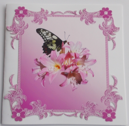 Cu 5 Sets of Mats and Frames by Sharon Wilson