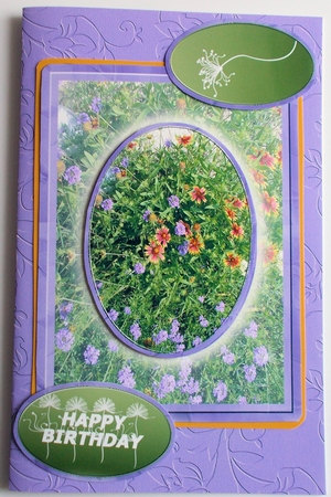 Wildflowers of Texas 5x7 by Sharon Wilson