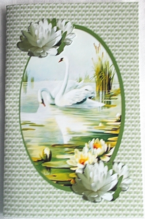 Floral Frames by Sharon Wilson