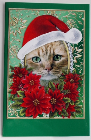 Santa Ginger Kitten Cat & Decoupage Poinsettias Card Topper by Sharon Wilson