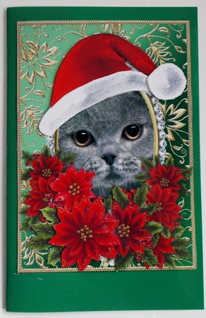 Santa British Blue Cat & Decoupage Poinsettias Card Topper by Sharon Wilson