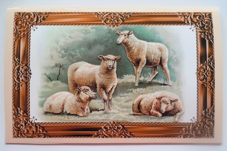 Farm Sheep A4 by Sharon Wilson