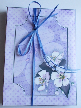 3D Apple Blossom Dvd or Console Game Gift Box Mini Kit by Sharon Wilson
