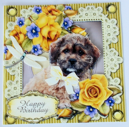 Cute Scruffy Pup and Lace by Sharon Wilson
