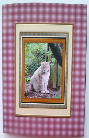 Lynx Big Cat Card Front with Decoupage by Sharon Wilson