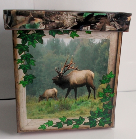Moose & Ivy 2 Tissue Box Cover by Sharon Wilson