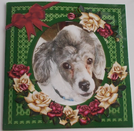 Roses & Lace Aperature Frames by Sharon Wilson