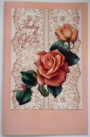 Roses on Lace - Peach on Peach - Thinking of You by Sharon Wilson