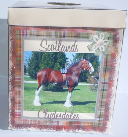 Scotland's Clydesdales Tissue Box Cover Kleenex by Sharon Wilson