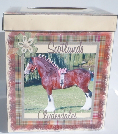 Scotland's Clydesdales Tissue Box Cover Kleenex by Sharon Wilson