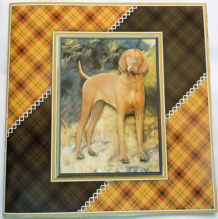 Hungarian Vizsla 3D Decoupage by Sharon Wilson