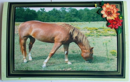 12x12 Solid Color Papers - Boy Featured Gallery Photo