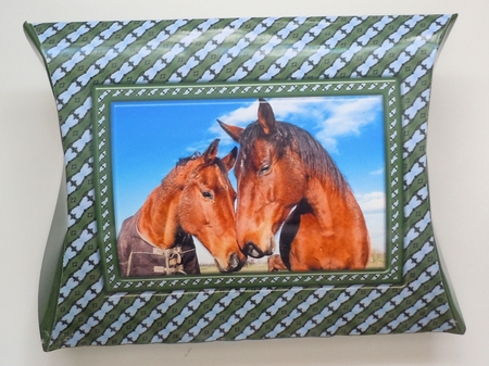 JJ FRIENDS FOREVER HORSES PILLOW BOX by Sharon Wilson