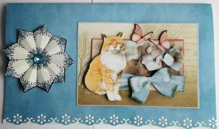 Adorable Kitty in pretty surroundings by Sharon Wilson