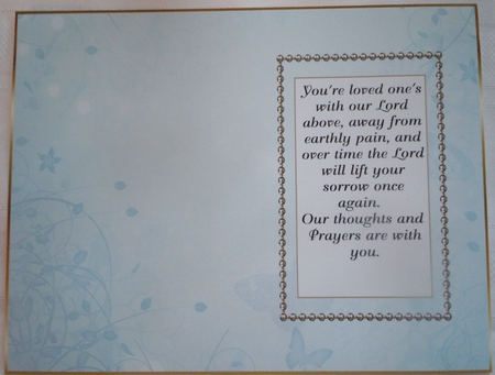 Beautiful Butterfly Aqua Insert 4 by Sharon Wilson